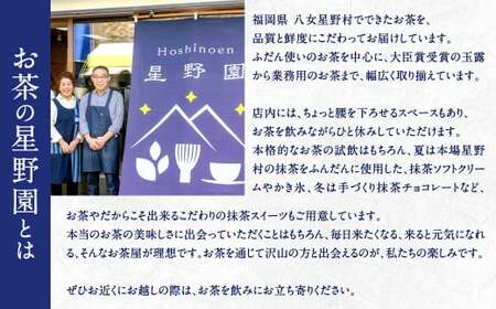八女市産 星野園特選煎茶 とくめ (100g×5袋) 合計500g 八女茶 緑茶 日本茶 お茶 茶葉 煎茶 国産茶 国産 お茶の星野園