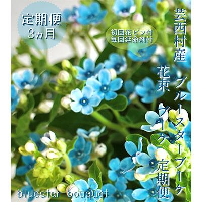 ふるさと納税 芸西村 【毎月定期便】芸西村産生花ブルースター花束 ブーケ 初回花瓶付 毎回延命剤付 全3回