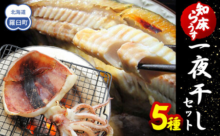 知床らうす 一夜干しセット　5種｜一夜干し　北海道