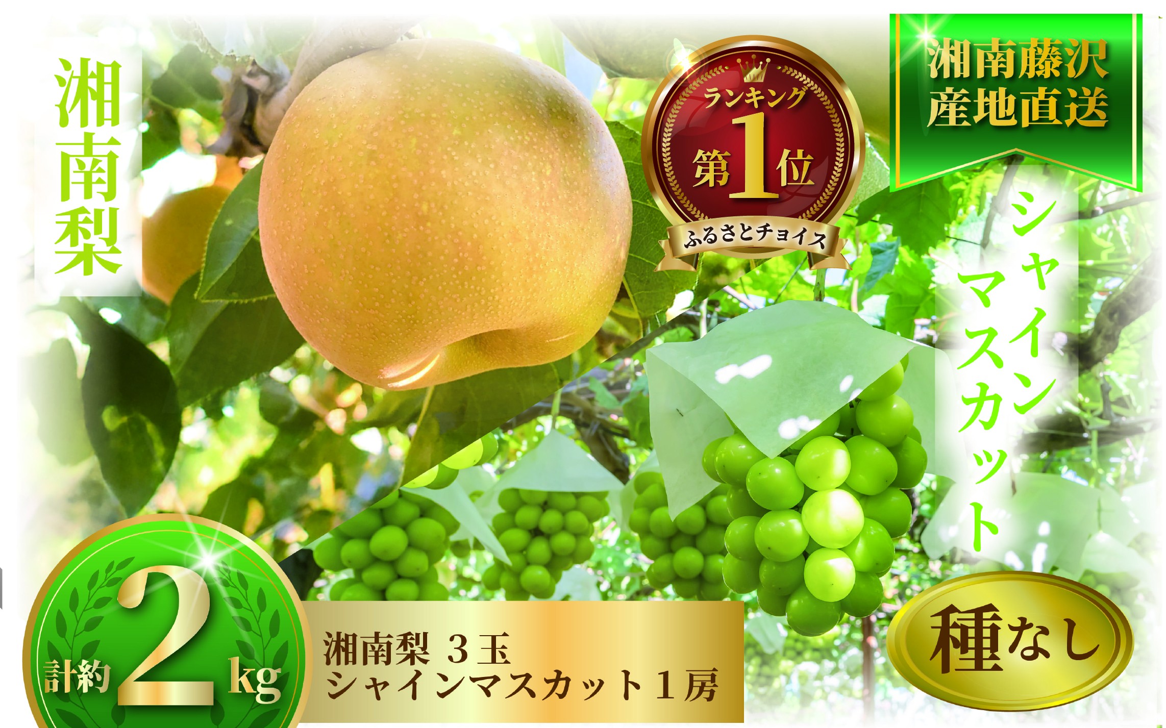 
            シャインマスカット 梨 2kg セット 詰め合わせ なし ぶどう フルーツ 果物 豊水 あきづき ブドウ マスカット 湘南梨 旬 粒 糖度 ジュース ボンボン 緑 年 日 ふるさと お取り寄せ 贈り物 ギフト 神山果樹園 神奈川 湘南 藤沢
          