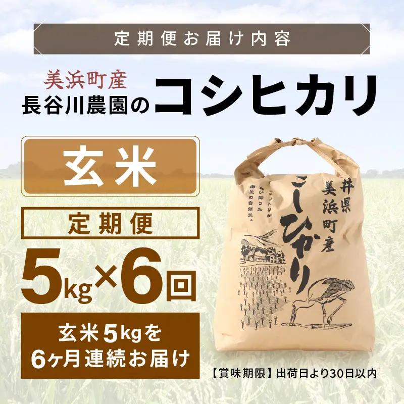 【玄米】定期便 ≪6ヶ月連続お届け≫コシヒカリ 令和8年産 玄米 5kg × 6回 (計30kg) 【長谷川農園】 [m22-f005]