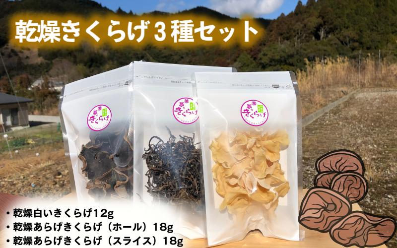 
乾燥きくらげ３種セット / 田辺市 きくらげ 乾燥 天然 無添加 栄養豊富 中華料理 サラダ
