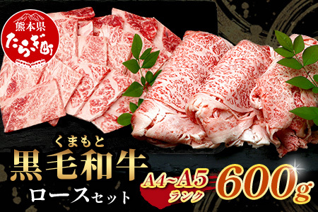 A4・A5 くまもと黒毛和牛 ロース セット 計600g ( すき焼き 300g / 焼肉 300g ) 本場 熊本県 ブランド 牛 黒毛 和牛 厳選 A4以上 肉 上質 熊本県 113-0506