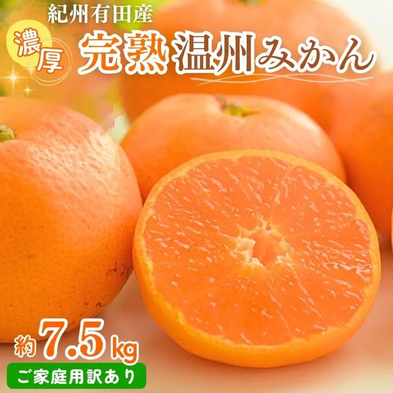 【ご家庭用訳アリ】 先行予約 紀州有田産濃厚完熟温州みかん　7.5kg　※2026年11月下旬～2027年1月下旬頃に順次発送予定(お届け日指定不可)(お届け日指定不可) みかん 柑橘類【uot704A】