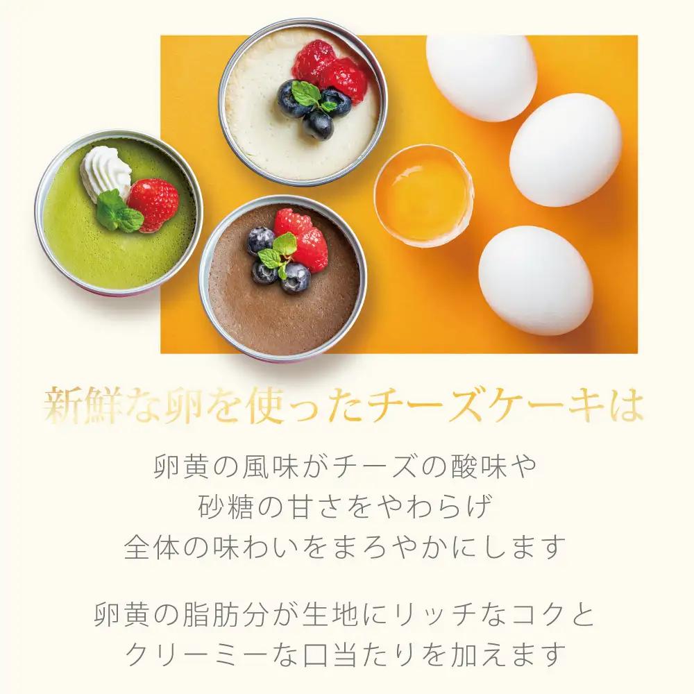 チーズケーキ 缶詰 3種セット（プレーン・抹茶・チョコ） 缶詰