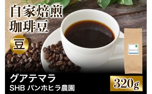 ★注文後に焙煎★自家焙煎珈琲豆 グアテマラ SHB ソロラ アティトゥラン パンホヒラ農園 中深煎り 320g【豆のまま】｜珈琲 コーヒー 焙煎 [0426]