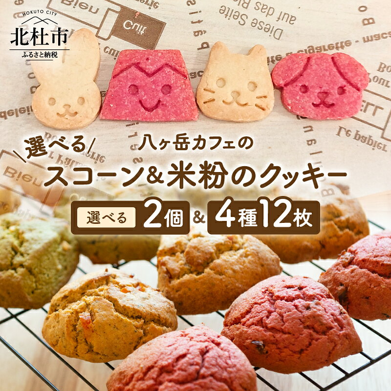 【ふるさと納税】 スコーン 米粉クッキー セット 選べるスコーン 2種 クッキー 4種 12枚 古代小麦 アインコーン スコーン ソフトグルテン 動物型クッキー メープル 珈琲 マヤナッツ デーツ あおさ 焼菓子 お菓子 おやつ プレゼント 八ヶ岳カフェ My Dish 北杜市 送料無料
