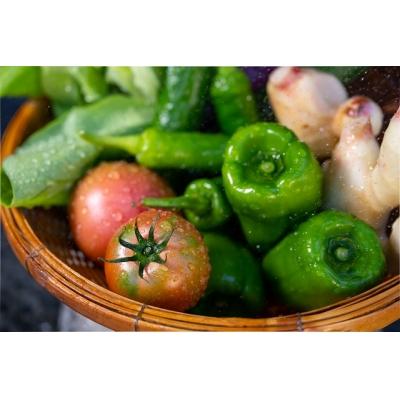 ふるさと納税 越知町 越知産市の季節の野菜セット(年4回発送)　産地直送　旬野菜 |  | 01