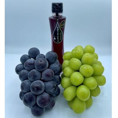 ふるさと納税 真庭市 【発送月固定定期便】9月〜12月 大粒ぶどうの詰め合わせ全4回 |  | 02