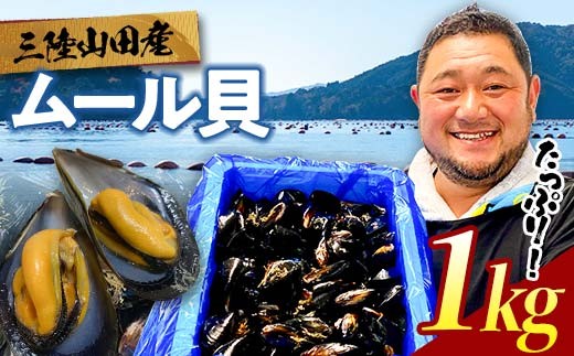 
                  明神丸かき・ほたてきちのムール貝 1kg 【沖縄県・離島配送不可】 三陸山田 山田町 しゅうり貝 海産品 山田産 山田湾 MZ006-1kg
                