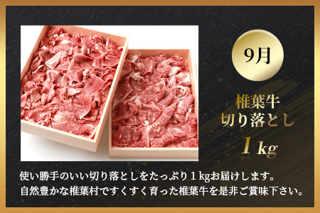 【定期便4回】総重量2.4kg！椎葉牛 大自然の中で味わう焼肉・BBQ定期便≪焼き肉・ステーキ・切り落とし・ローストビーフ≫