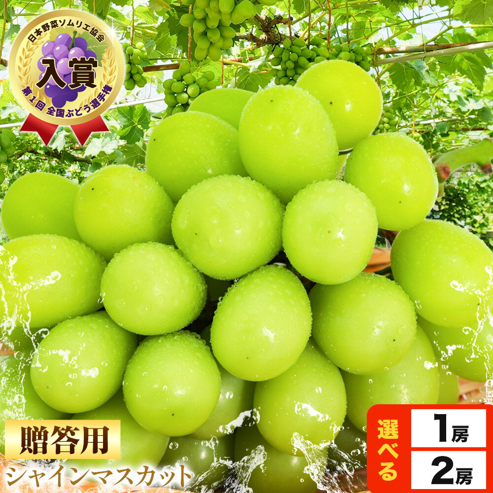 【ふるさと納税】贈答クラス シャイン マスカット 選べる 1房 (700g以上) 2房 (合計1.3kg以上) OEC KINGDOMぶどう家 《8月下旬-10月中旬頃出荷(土日祝除く)》岡山県 浅口市 ぶどう 果物【配送不可地域あり】（離島）