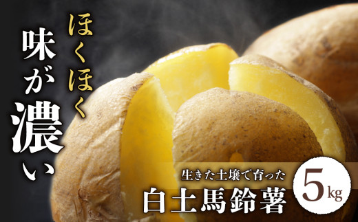
            【先行受付2026年発送】長野県産新じゃがいも 生きた土壌で育った『白土馬鈴薯5kg』｜里山JAPAN　※2026年8月上旬以降発送予定
          