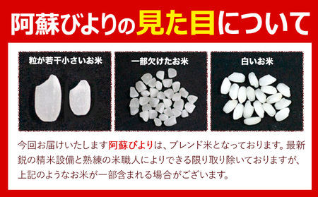 白米 精米 阿蘇びより 10kg (5kg×2袋)