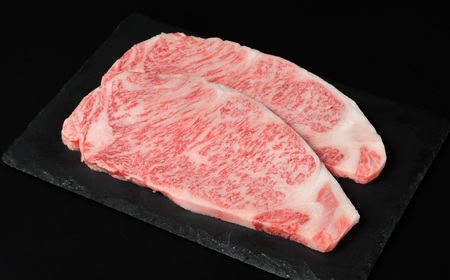 定期便 牛肉 定期便 定期便 定期便 前沢牛