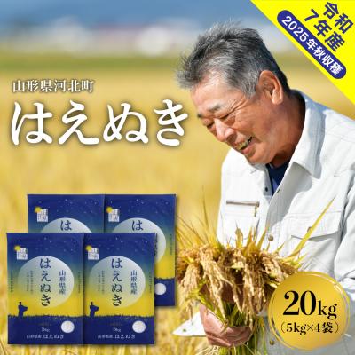 ふるさと納税 河北町 【令和7年産米】2026年6月中旬発送 はえぬき20kg(5kg×4袋) 山形県産