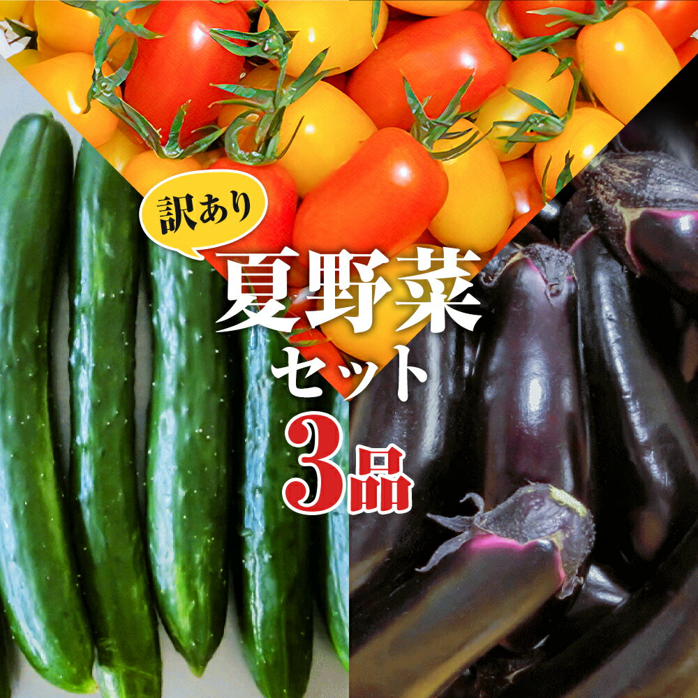 【ふるさと納税】訳あり 夏野菜セット 3品 約3.6kg ミニトマト なす きゅうり 野菜 トマト 茄子 胡瓜 3種類 セット ご家庭用 二戸市産 岩手県産 冷蔵 送料無料 【2025年7月中旬～8月下旬に順次発送予定】