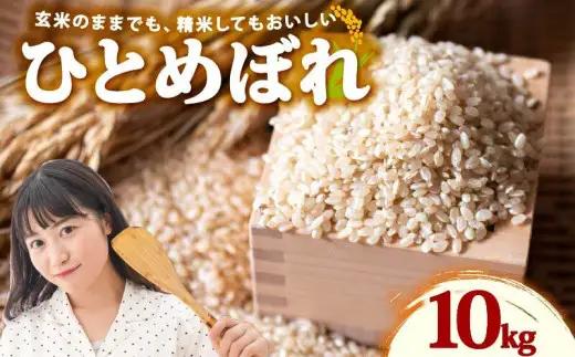 078-8-2【玄米】 ひとめぼれ 玄米 ｜ 10kg 令和8年産 玄米 静岡県 牧之原市 大石農園