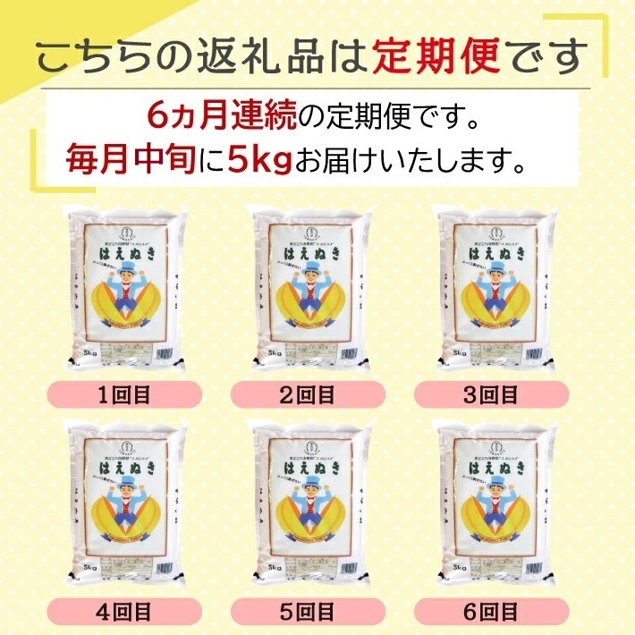 SM0050　【6回定期便】 山形米 はえぬき 5kg×6回(計30kg) AB