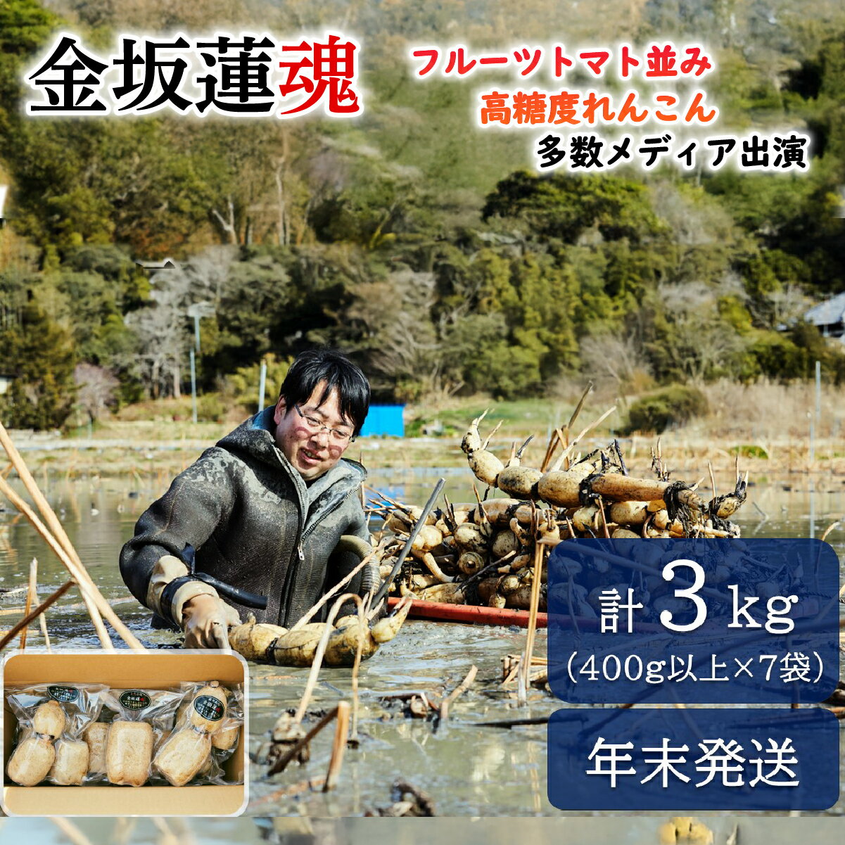 【ふるさと納税】 【年末発送】【先行予約】千葉県産 れんこん真空パック×7袋(計3kg)自然栽培【金坂蓮魂】ふるさと納税 やさい 野菜 根菜 れんこん レンコン 蓮根 季節 旬 シャキシャキ 金坂蓮魂 かねさかれんこん カネサカレンコン 長南町 千葉県 2026年 CNX006