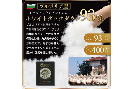 羽毛布団 シングル 冬用 本掛け 60番手サテン 青系 柄 ｜