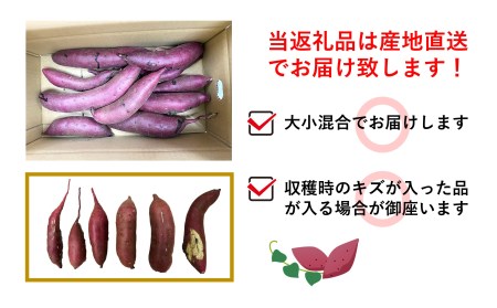 さつまいも 5kg 熊本県産 シルクスイート 紅はるか