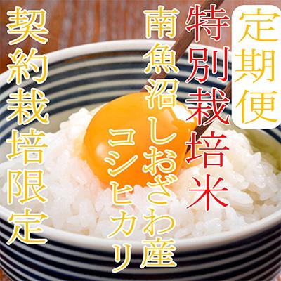 ふるさと納税 南魚沼市 【毎月定期便】【特別栽培米6Kg】生産者限定 南魚沼しおざわ産コシヒカリ全3回 |  | 01