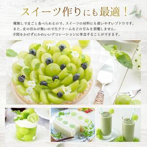 【2026年発送分 先行予約】岡山県産 シャインマスカット 1.5kg以上（3～4房）【ご家庭用】【025-a036】