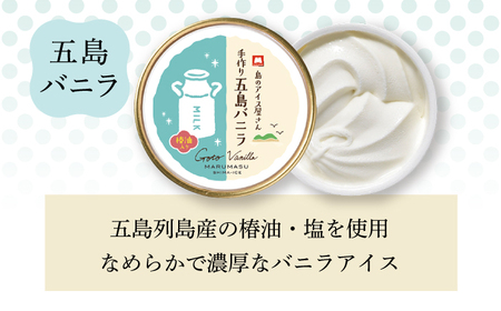 【全6回定期便】アイス3種 計12個[RAX018] アイス スイーツ お菓子 定期便 アイス スイーツ お菓子 定期便 アイス スイーツ お菓子 定期便九州 長崎