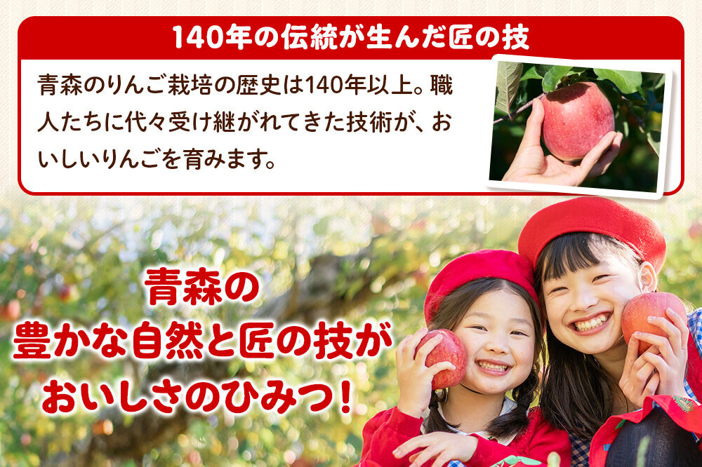 【26年12月発送】サンふじ【家庭用】約3kg 小玉 先行受付 青森県 弘前市 果物 フルーツ 林檎 リンゴ くだもの 不揃い 規格外 [先行予約 産地直送 アップル おいしい 果実 美味 甘い 赤色