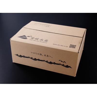 ふるさと納税 さぬき市 あおりいか三昧セット いかそうめん 200g、むき 身500g、ゲソ加熱用 200g 香川県 |  | 03