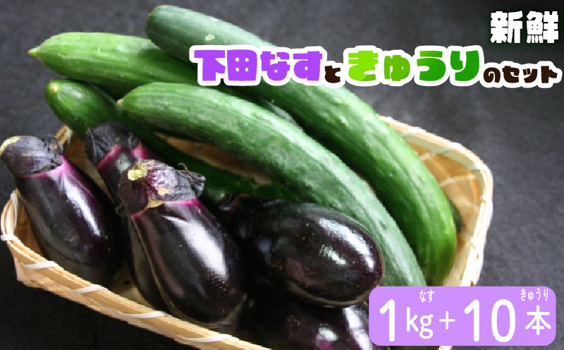 
                  下田なす きゅうり セット ( ナス 1kg キュウリ 10本 ) 茄子 なす  夏 夏野菜 竜王町産 産地直送 野菜 夏野菜 野菜 やさい 採れたて 季節 食材 旬 栽培 農家直送 農家応援 滋賀県 竜王町 ふるさと納税 送料無料
                