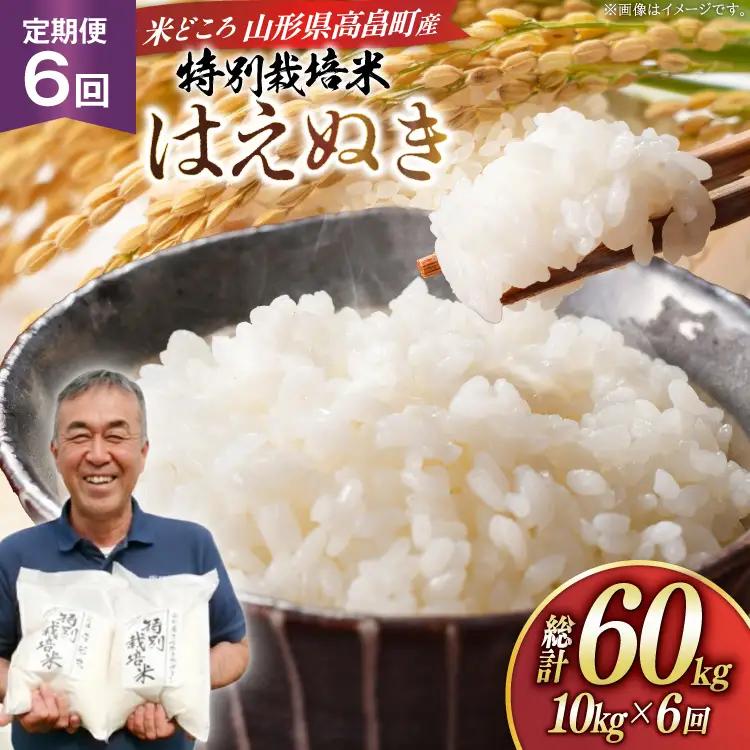 米 定期便 6回 令和8年 はえぬき 10kg 6回 計60kg