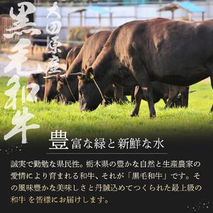 大田原産 黒毛和牛 サーロイン ステーキ　約300g×2枚