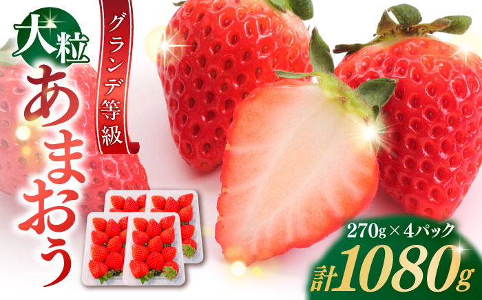 【2026年1月中旬より順次発送】 あまおう いちご 1080g (約270g×4パック) 吉富町/株式会社HSP-テクノ [BGBQ001] 福岡県