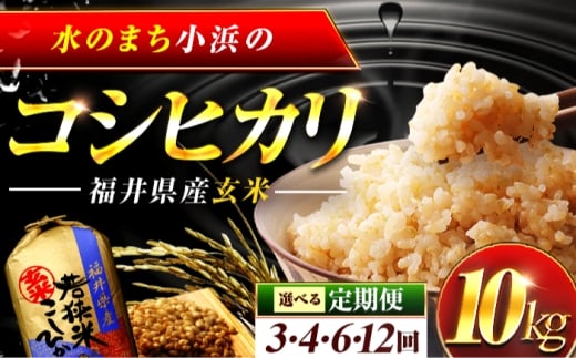 【新米】【3回定期便】 福井県産 コシヒカリ 玄米 10kg 一等級 /甘みと粘りが自慢 王道米 こしひかり 小浜市 / 若狭ふれいあい市場 [BFEL014]