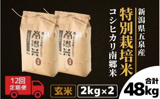 【令和6年産新米先行予約】 〈12回定期便〉 特別栽培米コシヒカリ 「南郷米」 玄米4kg（2kg×2袋）新潟県 五泉市 有限会社ファームみなみの郷  ［2024年9月中旬以降順次発送］