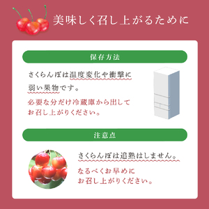 【 先行受付 】さくらんぼ 南陽1kg（500g×2パック）高級 サクランボ