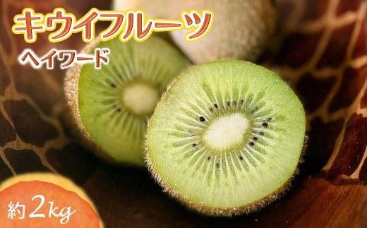 
            しろいのキウイ 約2kg ヘイワード 15～17個 【11月下旬から発送】
          