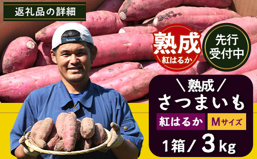 【先行予約：11月下旬配送～】熟成 さつまいも 紅はるか 3kg Mサイズ (美味しい焼き芋の焼き方 説明書付き） FR-213 ｜ 秋の味覚 2026年秋収穫 貯蔵 長期熟成 糖化 さつまいも サツマイモ 感動サツマイモ 焼き芋 べにはるか 使いやすい 野菜 ねっとり 濃厚 おやつ おかず お弁当 煮物 芋ごはん 味噌汁 産地直送 鹿児島県 南大隅町 株式会社フォレスト