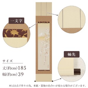 掛軸 「桜花富士」 藤田春穂 九寸立