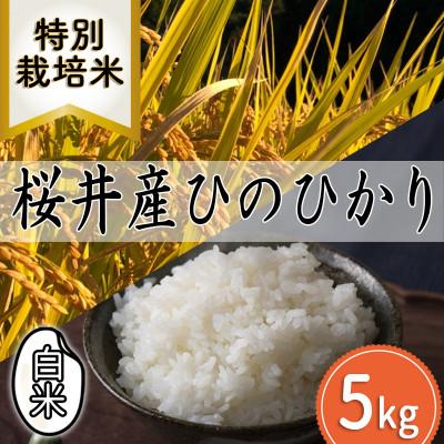 ふるさと納税 桜井市 【特別栽培米】桜井市高家産 ヒノヒカリ 白米 5kg