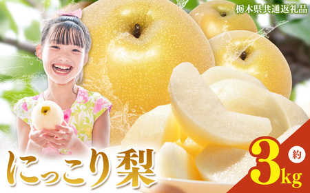 栃木県産梨 にっこり 3kg