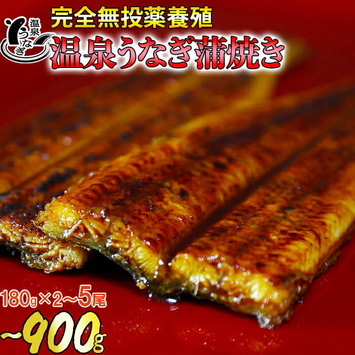 【ふるさと納税】温泉うなぎ蒲焼 2〜5尾（180gサイズ） 国産うなぎ 鰻＜104-704_5＞