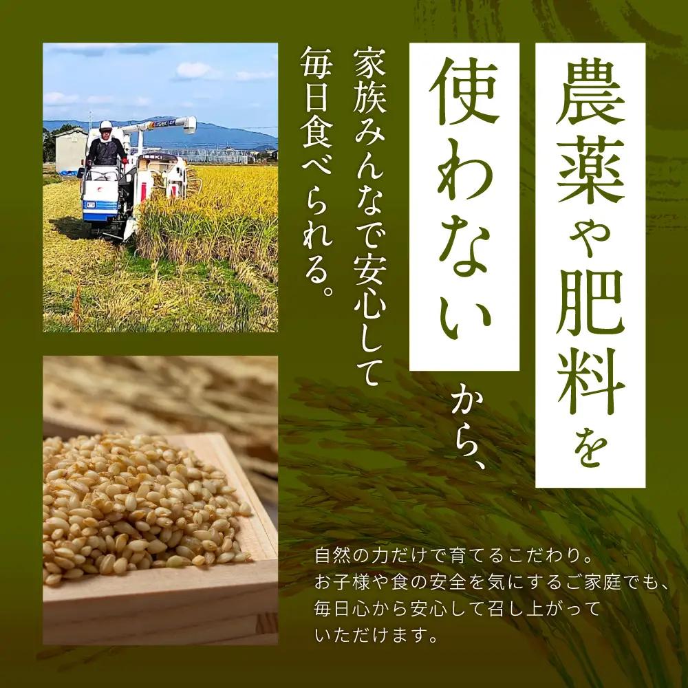 栽培期間中農薬・肥料不使用で作った朝日米 玄米20kg 粟屋農場 山口県 防府市 H17 玄米 朝日米 20kg 栽培期間中農薬不使用 肥料不使用 無農薬 自然栽培 在来種 希少米 佐波川