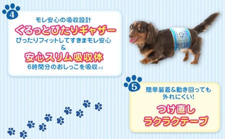 マナーウエア男の子用 M モカストライプ・ライトブルージーンズ 42枚×4 ペット用品 ペット用おむつ 