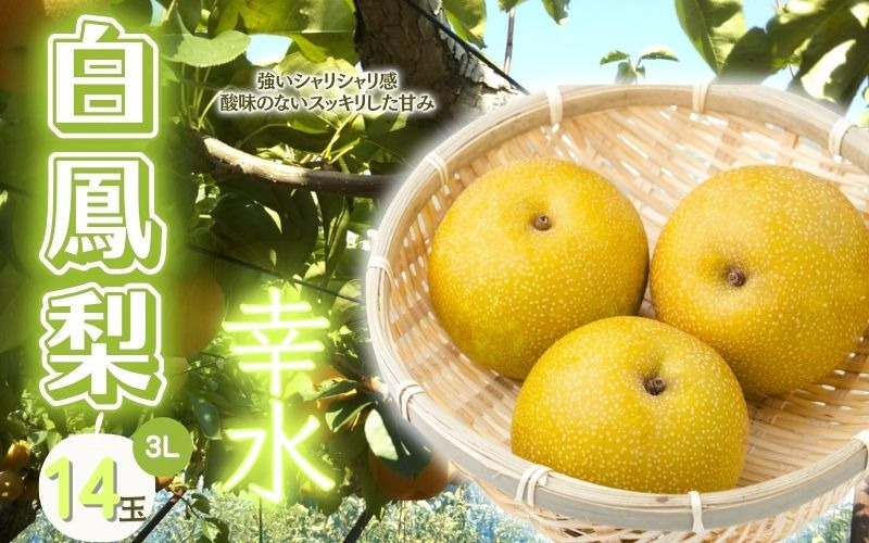  白鳳梨(幸水) 3L 14玉 ※お届けは8月中旬以降の予定です【hkns0003】 