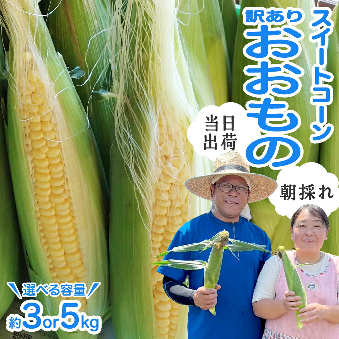 【ふるさと納税】【 朝採れ 当日出荷 】 訳あり スイートコーン 「 おおもの 」 ( 選べる 内容量 ) 3kg 5kg 甘い 新鮮 皮付き トウモロコシ とうもろこし コーン 野菜