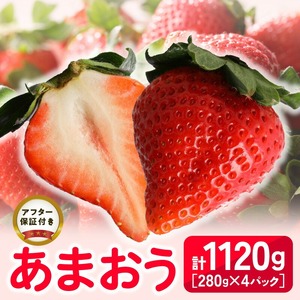【2027年2月より順次発送】福岡県産 あまおう 1120g（280g×4パック）_ いちご フルーツ 果物 〔Fi034〕