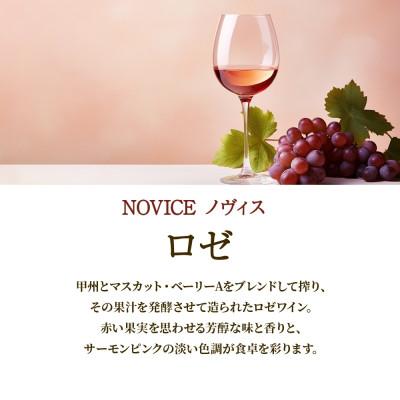 ふるさと納税 笛吹市 【無地熨斗】ロゼワイン NOVICE ロゼ 720ml フルボトル 日川中央葡萄酒 山梨県笛吹市 |  | 01